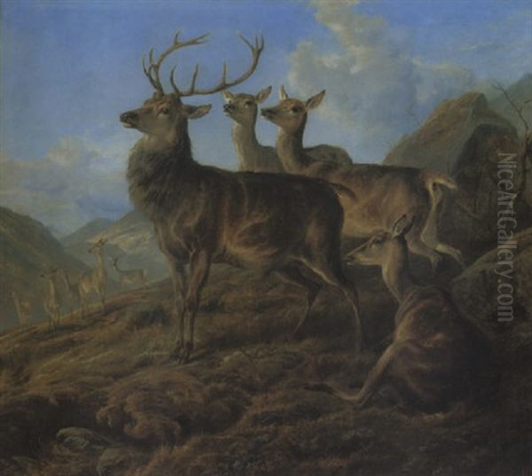 A Stag With Hinds In A Highland Landscape Oil Painting by Charles Jones