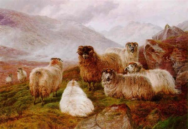 Sheep In A Valley Oil Painting by Charles Jones