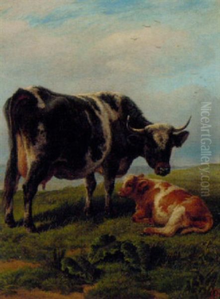 A Cow And Calf In A Meadow Oil Painting by Charles Jones