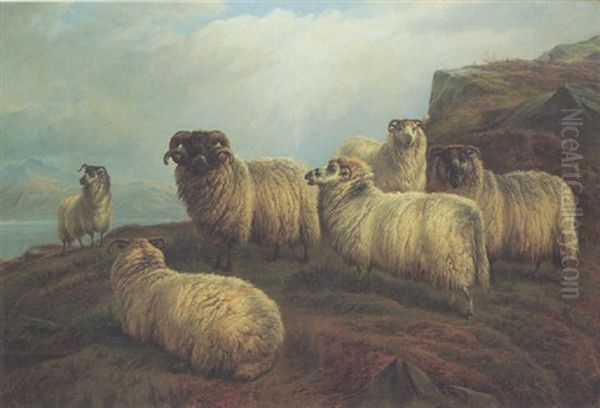 A Highland Flock Oil Painting by Charles Jones