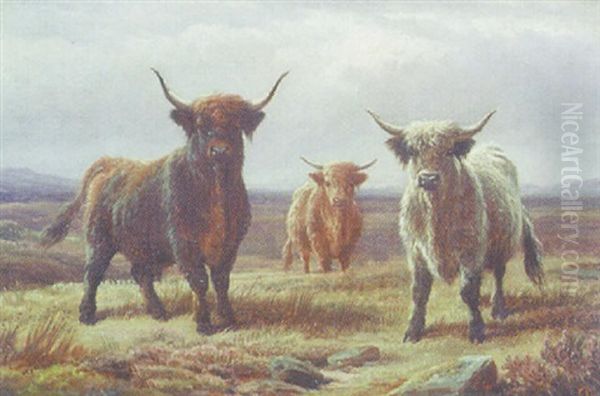 Highland Cattle Oil Painting by Charles Jones