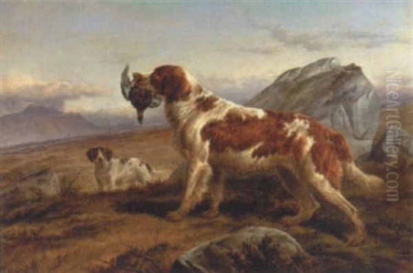 A Good Retrieve Oil Painting by Charles Jones