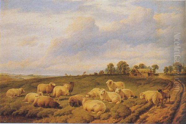 Sheep In A Meadow Oil Painting by Charles Jones