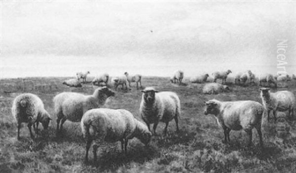 Sheep By The Shore Oil Painting by Charles Jones