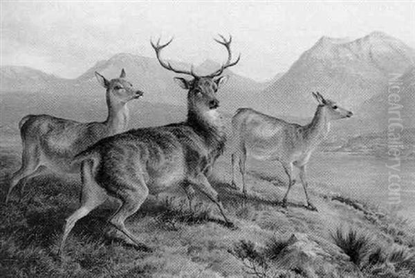 Highland Stag And Deer by Charles Jones