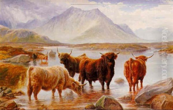 Highland Cattle Oil Painting by Charles Jones