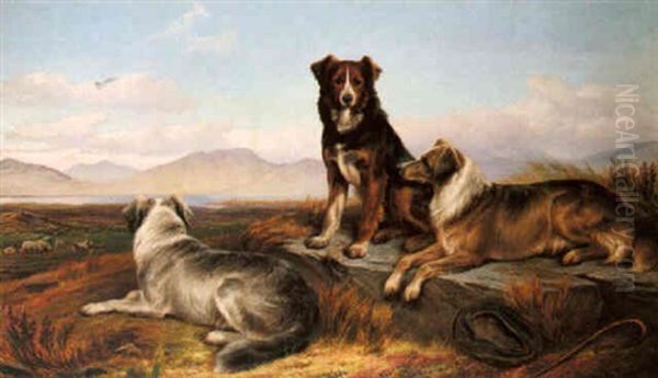 Guardians Of The Flock Oil Painting by Charles Jones