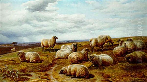 Sheep Resting In A Landscape Oil Painting by Charles Jones