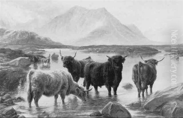 Highland Cattle Oil Painting by Charles Jones