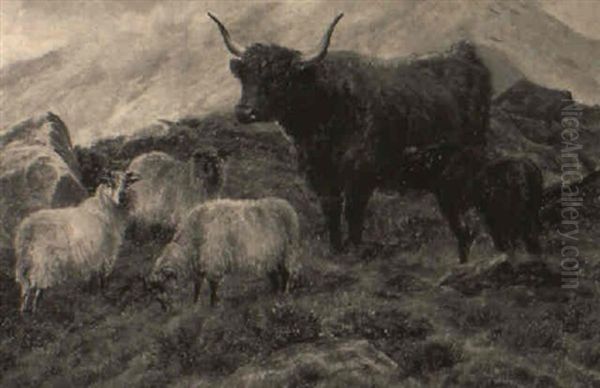 Highland Cattle With A Calf And Sheep Oil Painting by Charles Jones