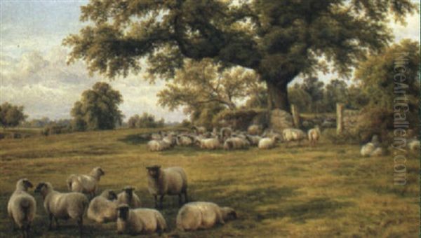 Sheep At Pasture Oil Painting by Charles Jones