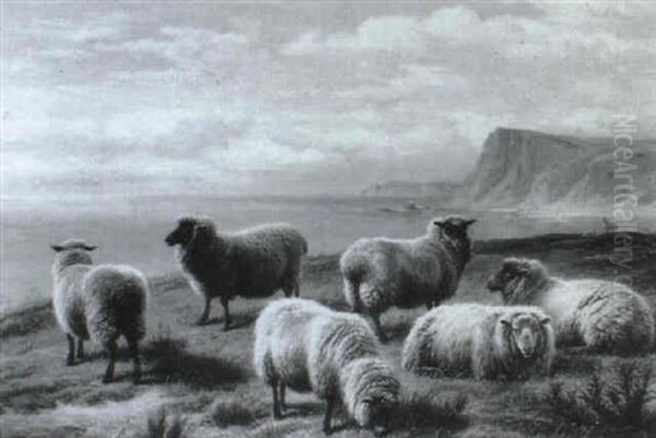 Sheep On A Devonshire Coast Oil Painting by Charles Jones