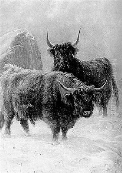 Highland Cattle In A Snowstorm Oil Painting by Charles Jones