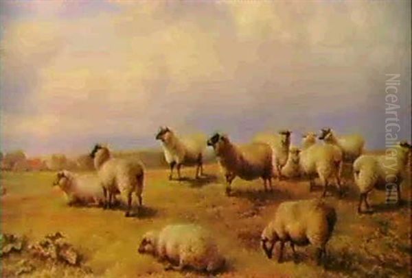 Sheep At Pasture Oil Painting by Charles Jones