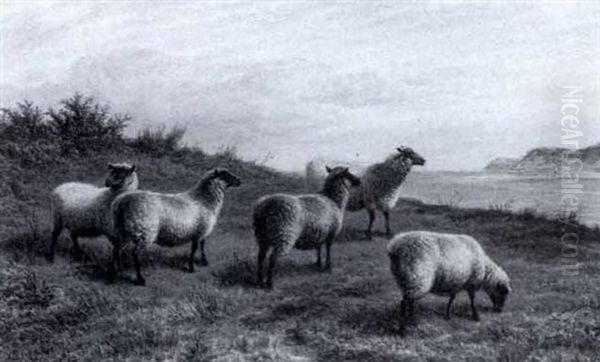 Sheep On A Headland Oil Painting by Charles Jones