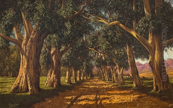 An Avenue Of Gumtrees Oil Painting by Tinus de Jongh