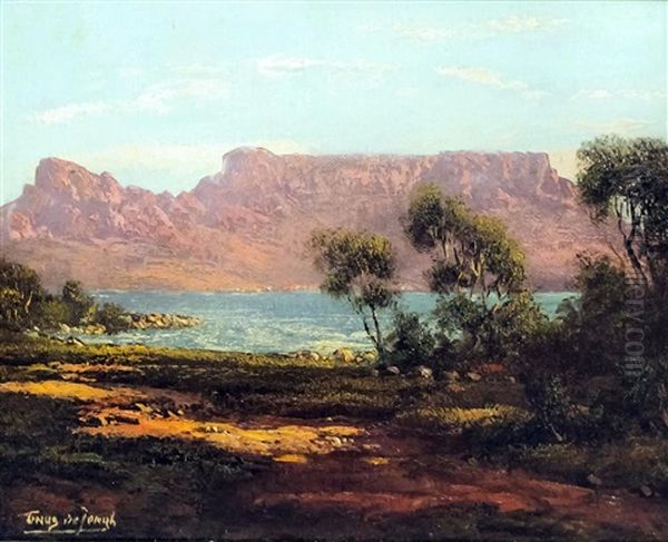 View Of Table Mountain Oil Painting by Tinus de Jongh