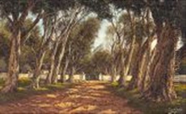 Avenue Of Blue Gums, Cape Oil Painting by Tinus de Jongh