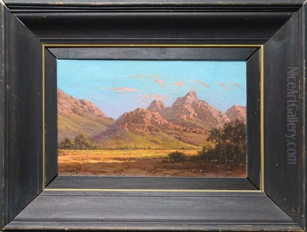 South African Landscape With Hills Oil Painting by Tinus de Jongh