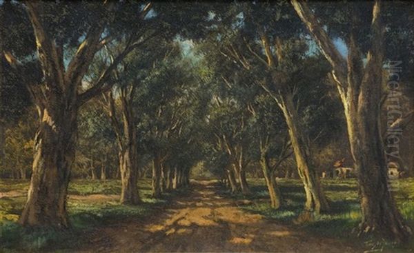 An Avenue Of Trees by Tinus de Jongh