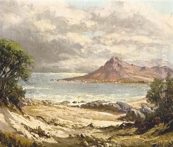 Gordon's Bay, Cape Oil Painting by Tinus de Jongh