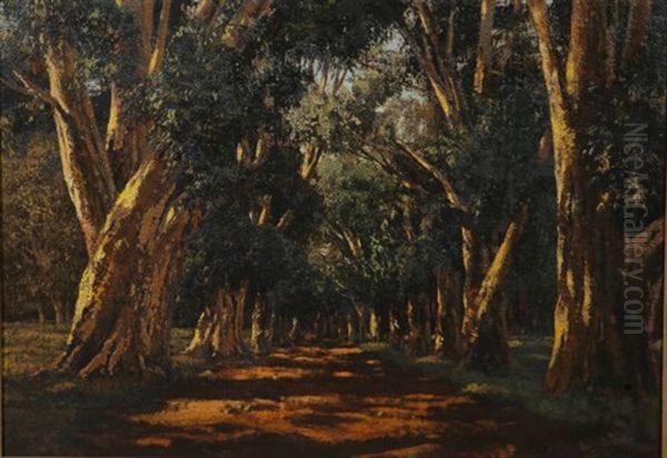 Avenue Bergvliet Oil Painting by Tinus de Jongh