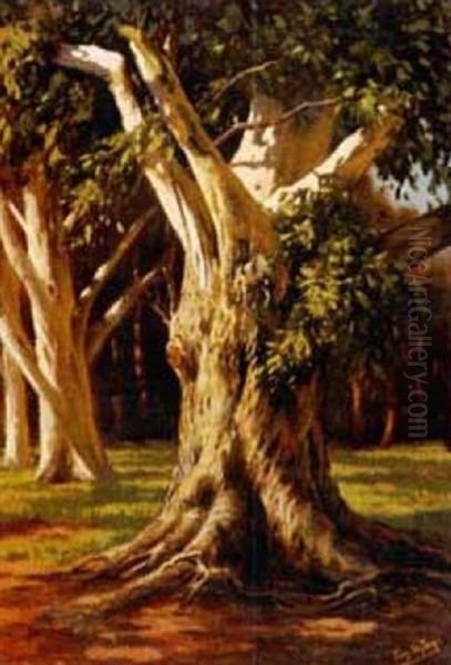 Gum Trees Oil Painting by Tinus de Jongh