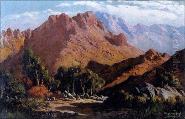 Near Ladysmith, Cape Oil Painting by Tinus de Jongh