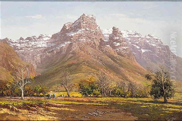 Mountainous Landscape In The Cape Oil Painting by Tinus de Jongh