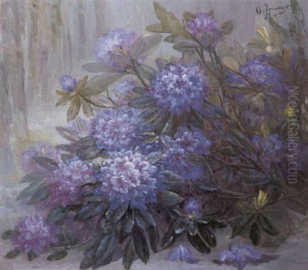 Rhododendrons Oil Painting by Clemence Jonnaert