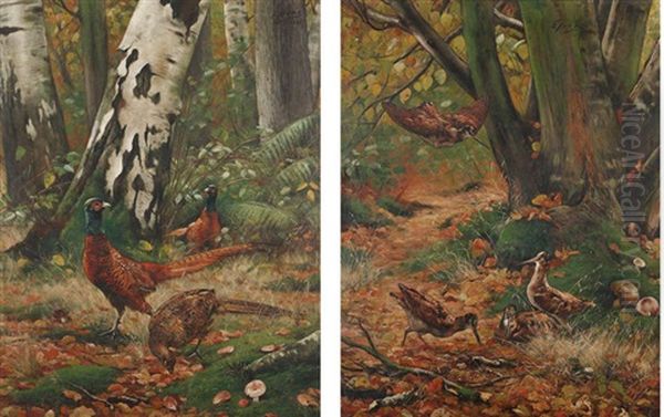 Faisans Et Becasses Au Bois (pair) Oil Painting by Eugene Joors