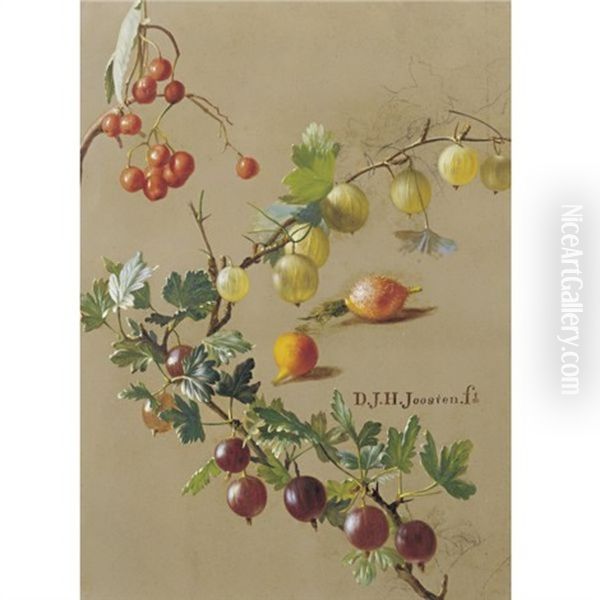 Study For Red And White Currants Oil Painting by Dirk Jan Hendrik Joosten