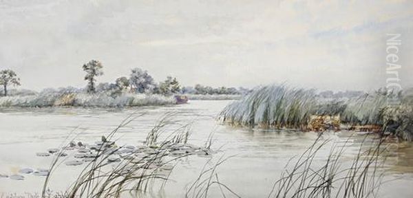 South Walsham Dyke, Norfolk Oil Painting by Stephen John Batchelder