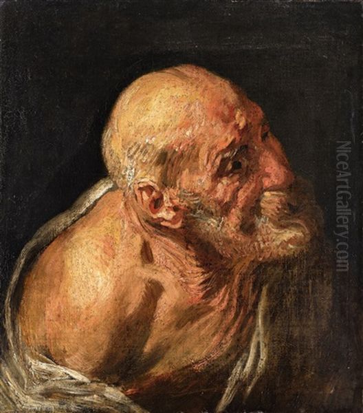 Study Of An Old Man Oil Painting by Jacob Jordaens