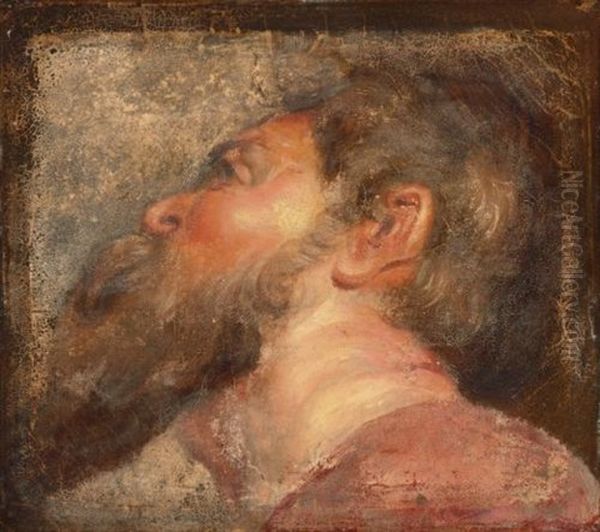 Study Of A Bearded Man Oil Painting by Jacob Jordaens