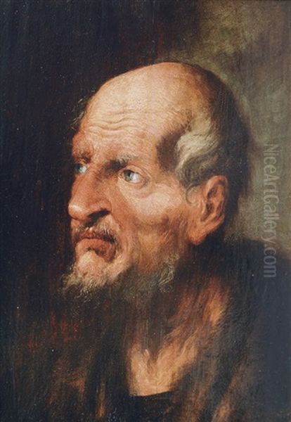 Head Of An Old Man (study) Oil Painting by Jacob Jordaens