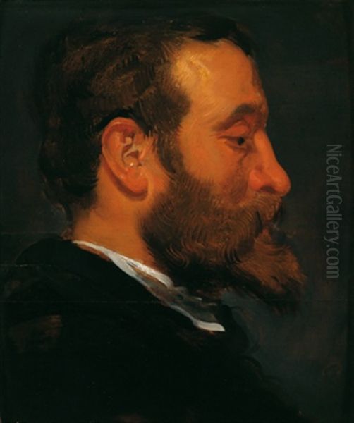 Studienkopf Eines Bartigen Mannes Im Profil Oil Painting by Jacob Jordaens