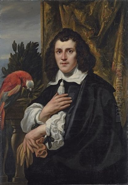 Portrait Of A Young Man In Black Doublet And Cloak With White Collar And Sleeves, Holding A Pair Of Gloves Oil Painting by Jacob Jordaens