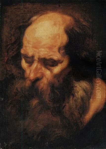 Head Of A Bearded Man Oil Painting by Jacob Jordaens