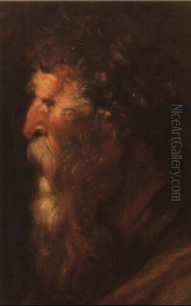 Head Of And Old Bearded Man by Jacob Jordaens