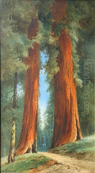 Path Through The Redwoods Oil Painting by Christian Jorgensen