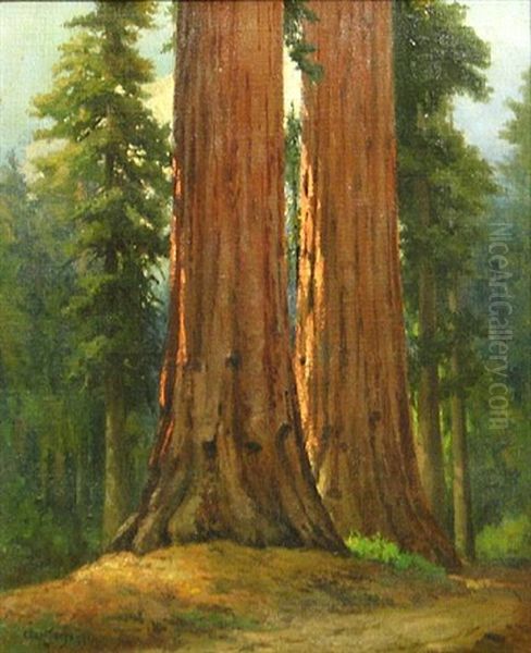 Giant Redwoods Oil Painting by Christian Jorgensen