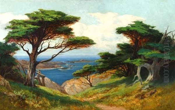 Cypress Near Blue Water, Point Lobos Oil Painting by Christian Jorgensen