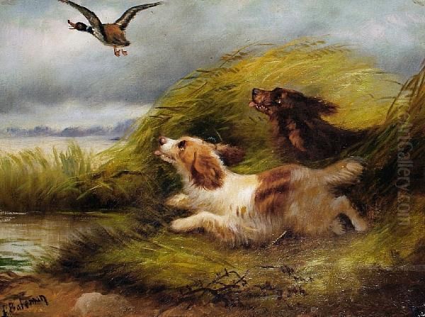 Flushing Out The Ducks; Breaking From Cover Oil Painting by G. Bateman