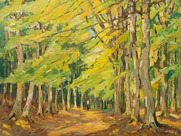 Forest Path With Walker Oil Painting by Carl Joerres