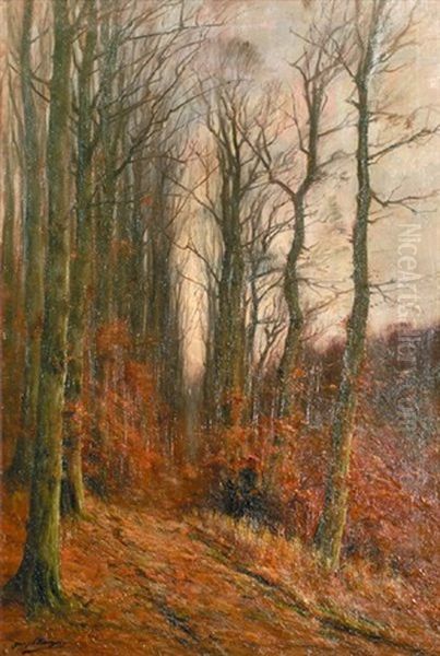 Sous Bois En Automne Oil Painting by Francois Joseph