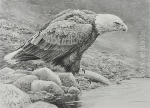 Bald Eagle Oil Painting by Robert Bateman