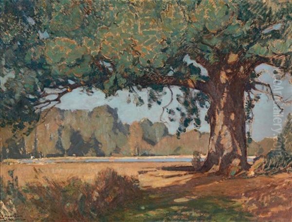 L'arbre Au Dessus De L'etang Oil Painting by Louis Jourdan