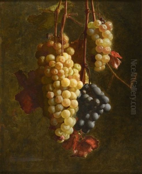 Raisins Rouges Et Raisins Blanc Oil Painting by Jacques Joussay