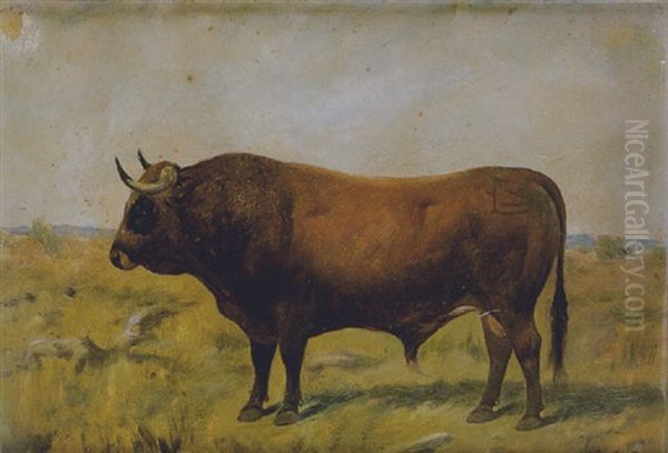 Toro En El Campo Oil Painting by Rafael Julia Entraigues